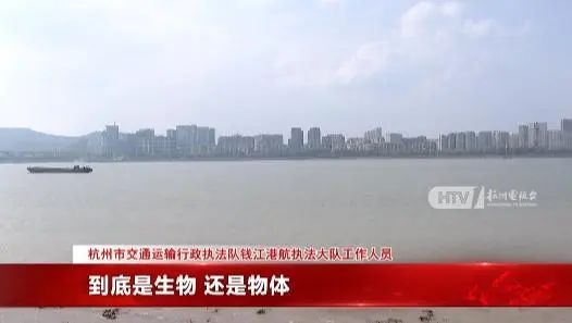 江水面疑似出现高速不明物：可能超5米z6尊龙网站江西天降火球未头绪钱塘(图9)